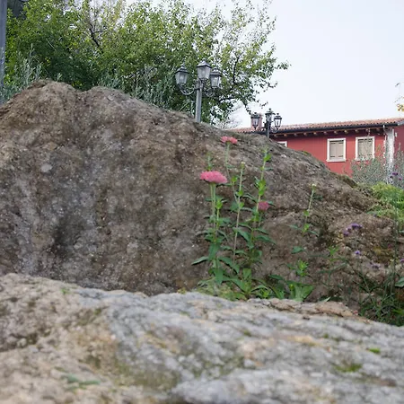 Il Gelso Bianco Montebello Vicentino